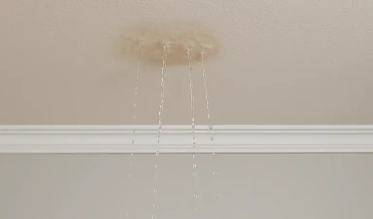 Rüyada Evin Tavanından Su Akması